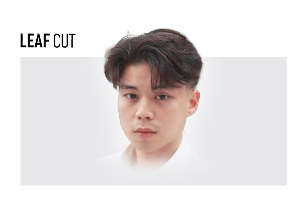 Hasil-Cukur-LeafCut-color.jpg